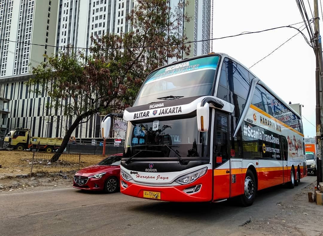 ibistrans.com sewa bus pariwisata foto bus tingkat PO Harapan Jaya