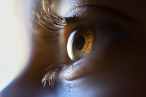 Efek radiasi layar komputer terhadap kesehatan mata