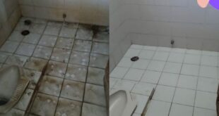 cara membersihkan kamar mandi