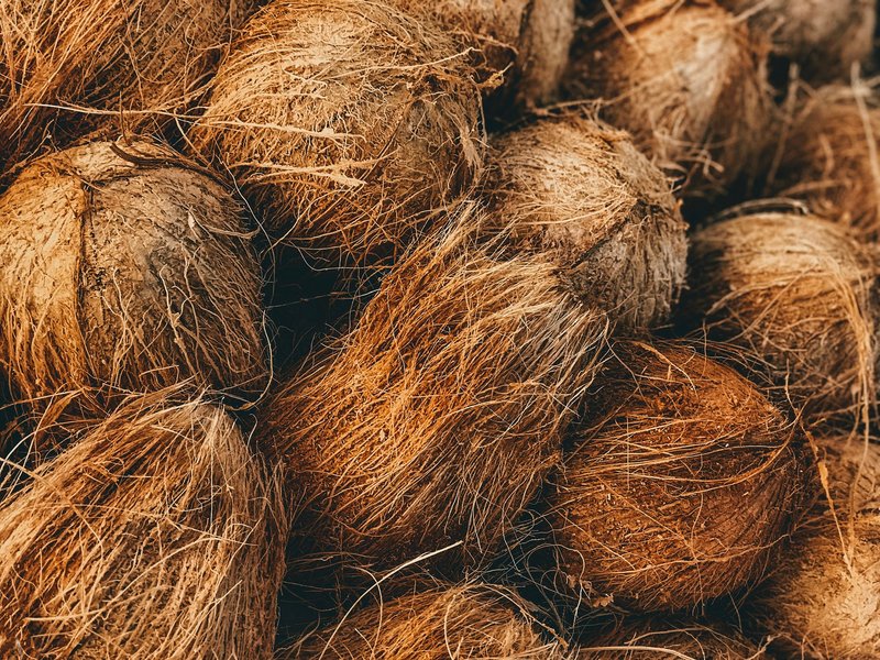cara membuat cocopeat dari sabut kelapa