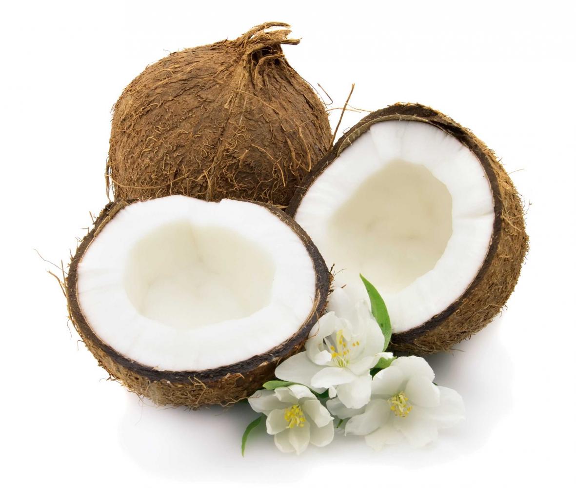 peluang usaha peras santan kelapa