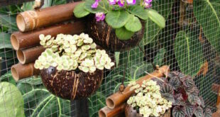 Pot Bunga dari Sabut Kelapa dan Kawat