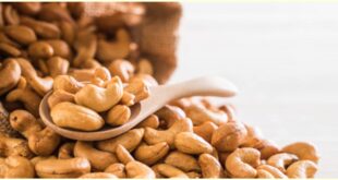 kandungan nutrisi kacang mete