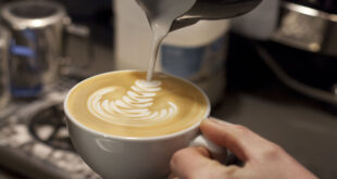 cara membuat foarm susu untuk latte art